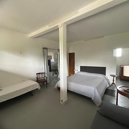 Antica Vigna Bed & Breakfast Chioggia Dış mekan fotoğraf
