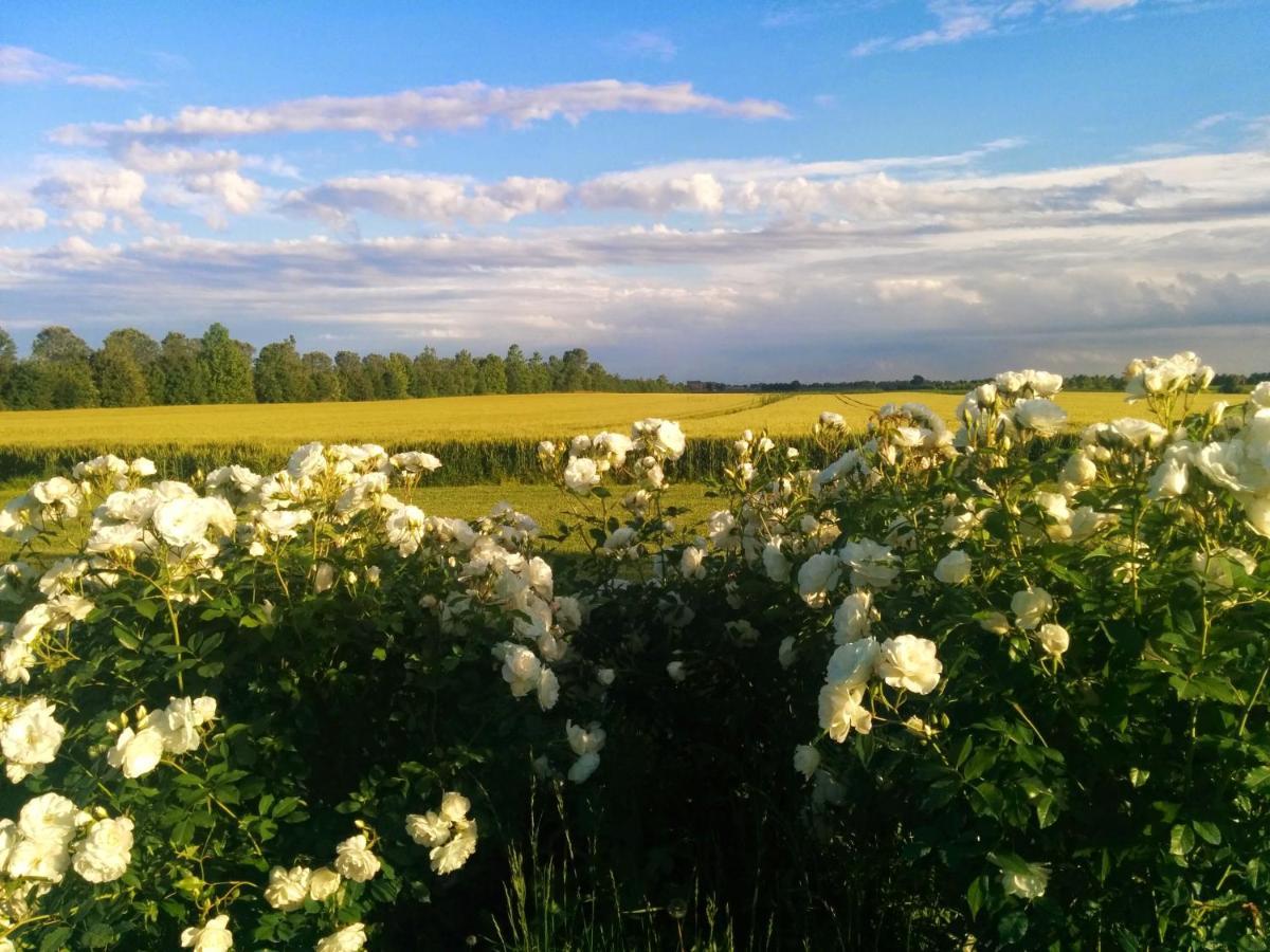 Antica Vigna Bed & Breakfast Chioggia Dış mekan fotoğraf